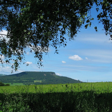listing_area