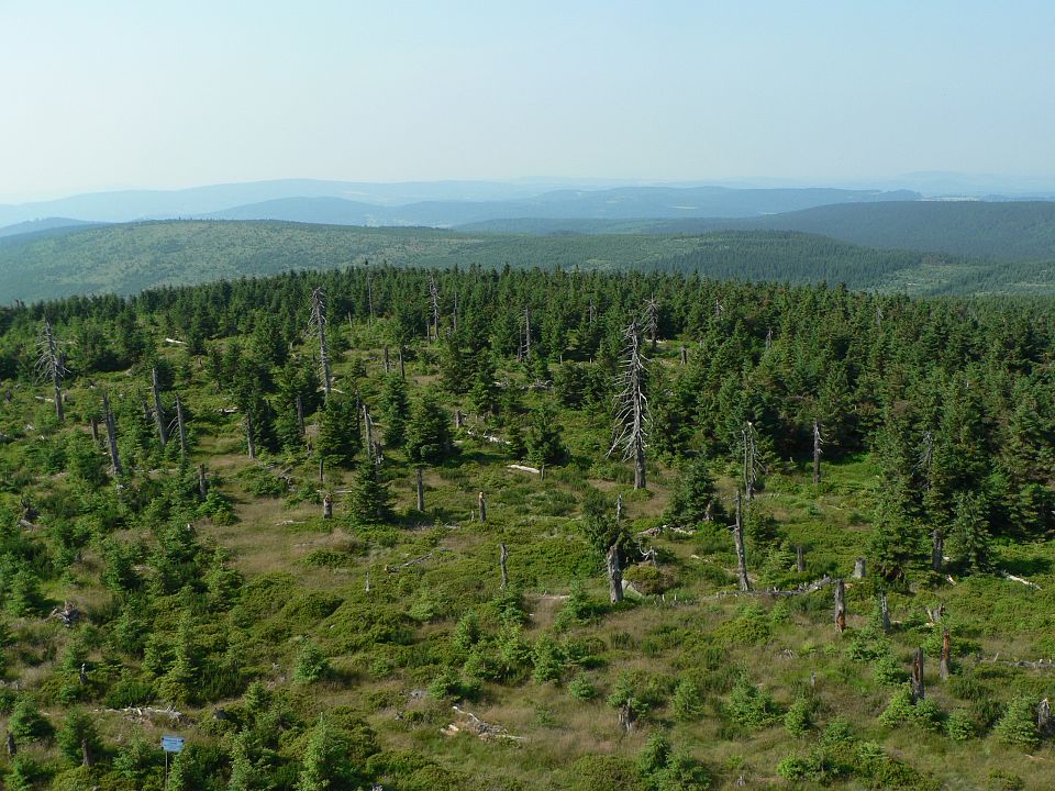 Jizerské hory