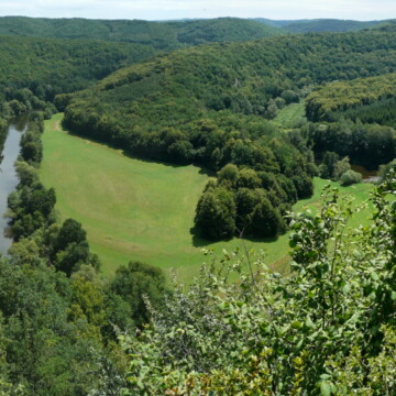listing_area