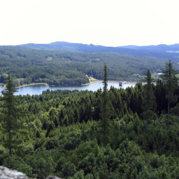 listing_area