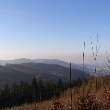 listing_area